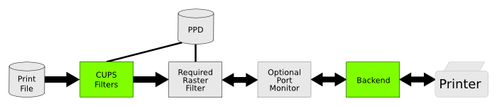 Developing Raster Printer